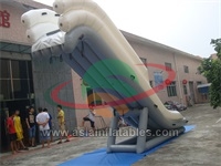 Freestyle Cruiser Giant Inflatable Water Slides Turns your Yacht into a Waterpark