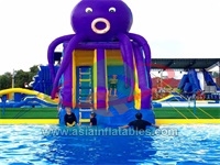 New Design Inflatable Octopus Slide Water Playground