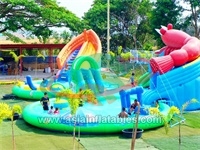 0.9mm PVC Tarpaulin Outdoor Inflatale Shrimp Theme Water Playground Park