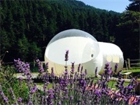 Transparent Inflatable Air Bubble Tent For Beach Sight Seeing , Giant Events Bubble Tent