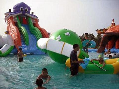   Inflatable Octopus Slide