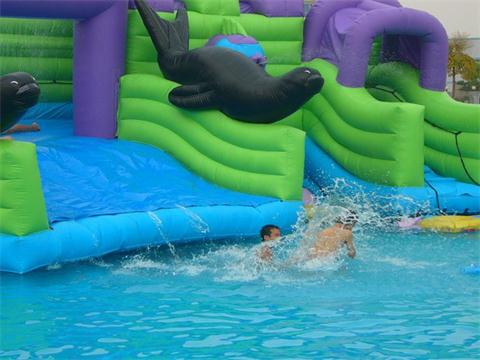     Inflatable Dolpin Slide