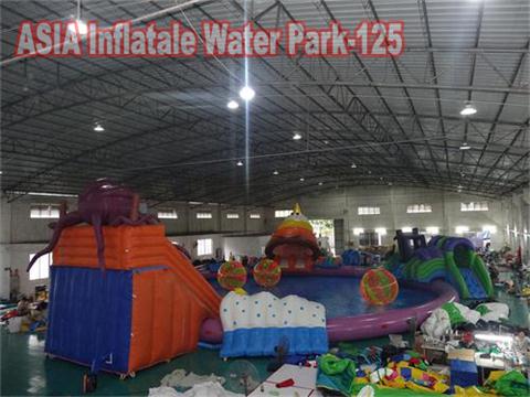   Inflatatable Octopus Slide Water Parks