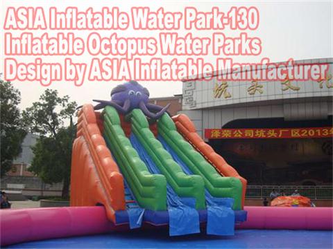   Inflatable Octopus Water Slide