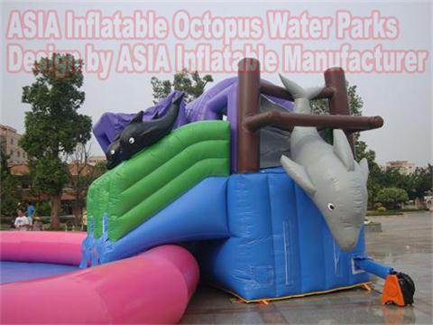   Inflatable Dolpnin Water Slide